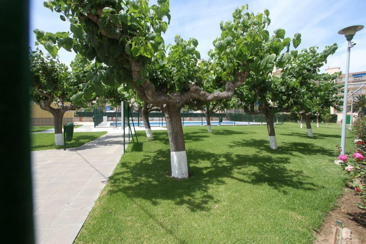Apartament Carrer De Victoria Dels Angels, 11 La Pineda Zewnętrze zdjęcie
